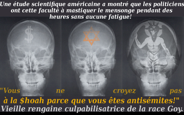Le véritable pouvoir/5046362_CraneOeuf (700x438, 186Kb)