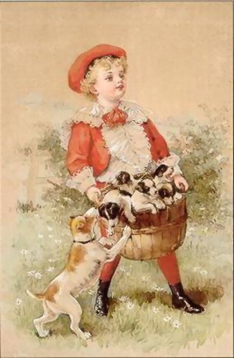 boy-carrying-a-basket-of-puppies (458x700, 97Kb)