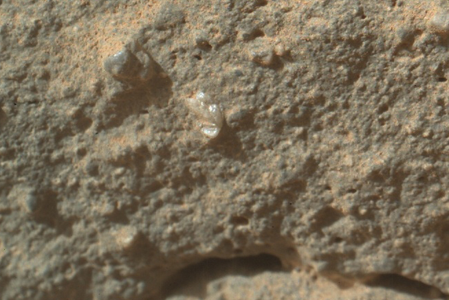 mars-flower-curiosity-closeup (653x437, 265Kb)