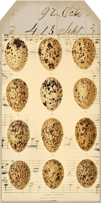 kartinki_dlya_decupaja_k_Pashe_5 (350x700, 206Kb)