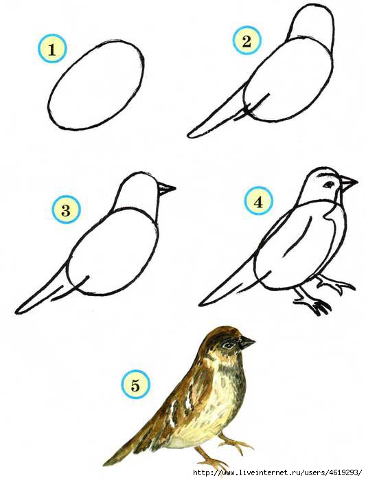 Как просто нарисовать птичку