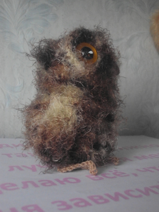 DSC02581 (525x700, 214Kb)