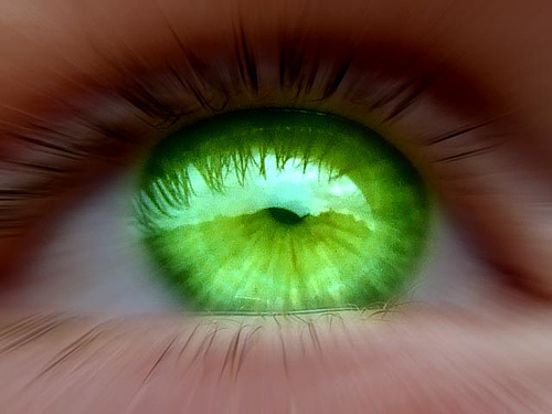 green-eyed-monster (500x375, 73Kb)