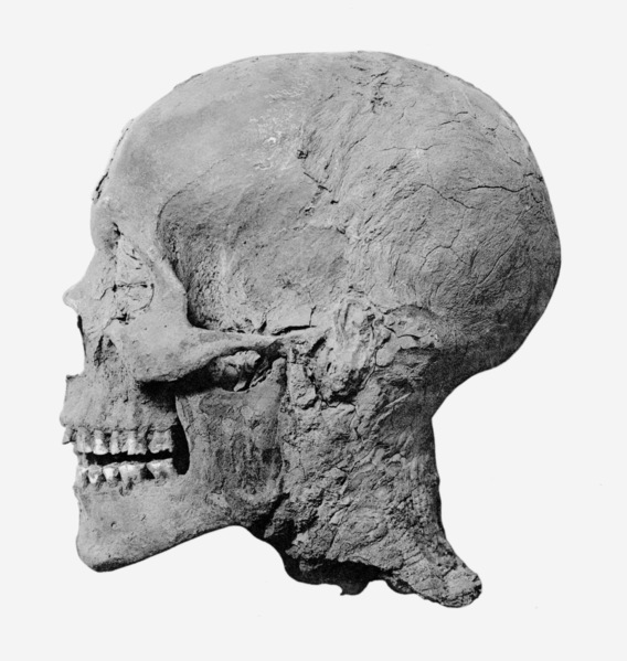 568px-Amenhotep_III_mummy_head_profile (568x599, 246Kb)