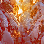 x_006522b1 copy (150x150, 67Kb)