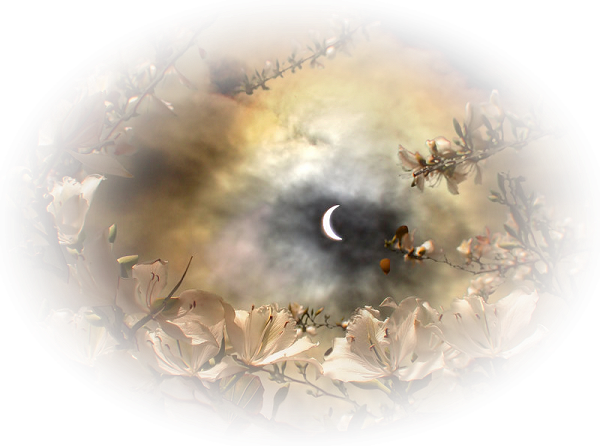 35060655_24875088_chrismist_Eclipse_copy (600x446, 460Kb)