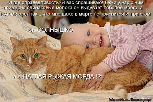 0_415c6_997b0a53_L (500x333, 66Kb)
