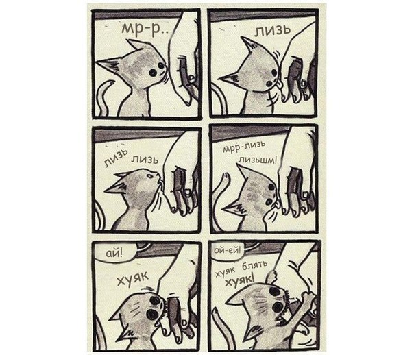  ))) (604x518, 75Kb)