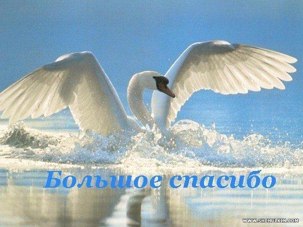 60475163_6c379ba708f541fdb8bf92c9b0eadc35_big (600x450, 56Kb)