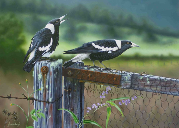 1Back Gate Reg (700x499, 243Kb)