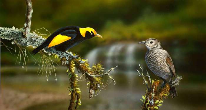 rocky-crossing-splendor-new (700x373, 26Kb)