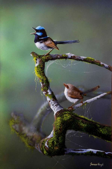 audition (463x700, 181Kb)