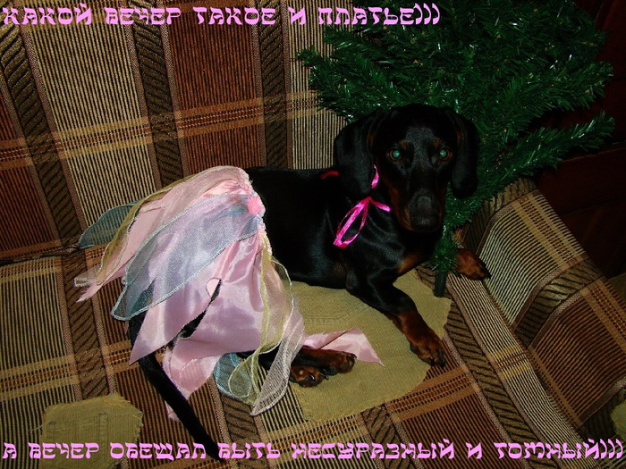 3521797_1cc886bc (700x525, 184Kb)