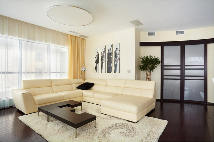 modern-and-cozy-apartment-interior-design-6 (700x467, 89Kb)
