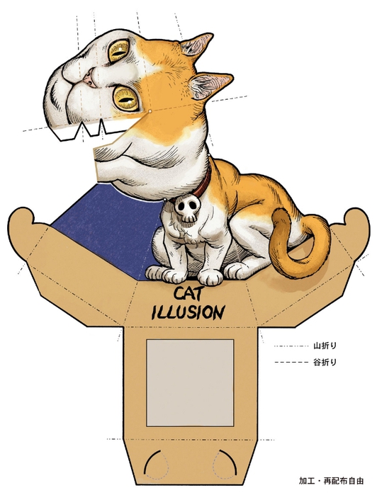 cat_illusion (532x700, 170Kb)