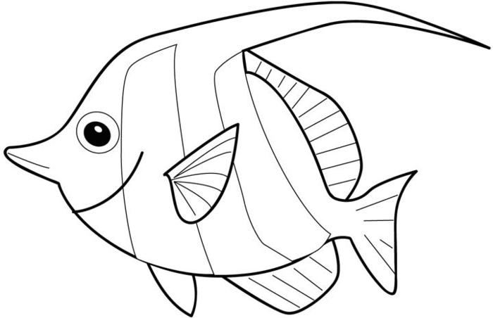 fish-colouring-pictures-11 (700x452, 45Kb)