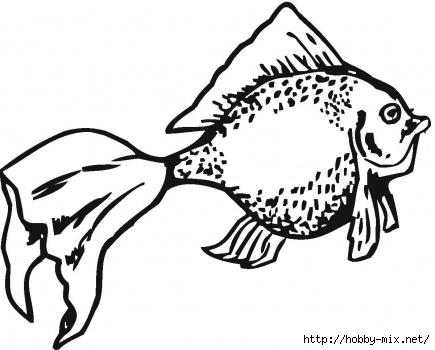 golden-fish-coloringw-page (435x350, 84Kb)