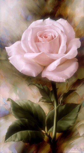 QJ2fEZOI7c8 (332x604, 38Kb)