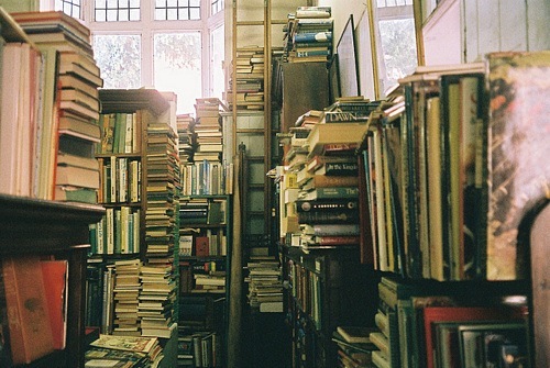 tumblr_lzwevs8SNJ1qmk7qlo1_500 (500x335, 81Kb)