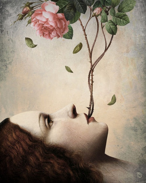 Christian Schloe (1) (500x630, 110Kb)