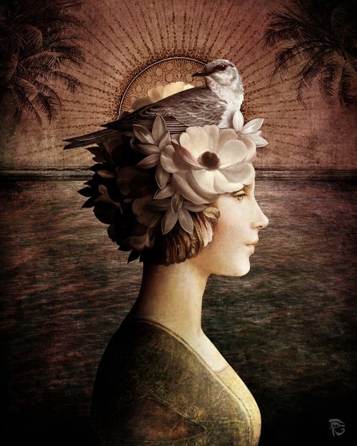 Christian Schloe (5) (500x625, 78Kb)