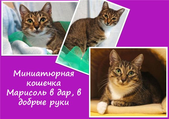  (560x396, 49Kb)