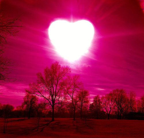 beautiful-one (500x481, 158Kb)