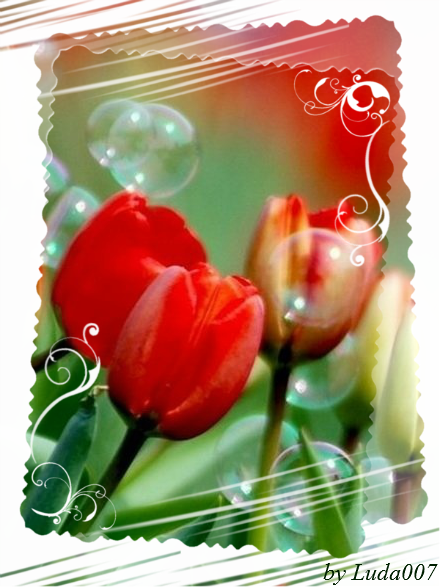 3427527_tulpani (440x587, 541Kb)