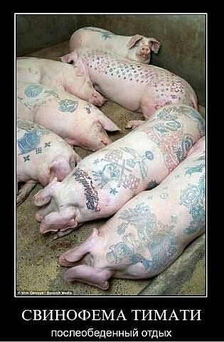 getImage (315x480, 34Kb)