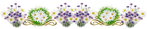 - (500x100, 56Kb)