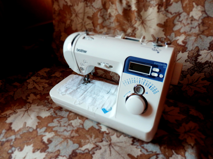 P1010102 (700x525, 189Kb)