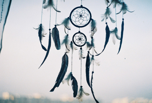 3755573_tumblr_luz8mq02hp1r57zr1o1_500_large (500x338, 79Kb)
