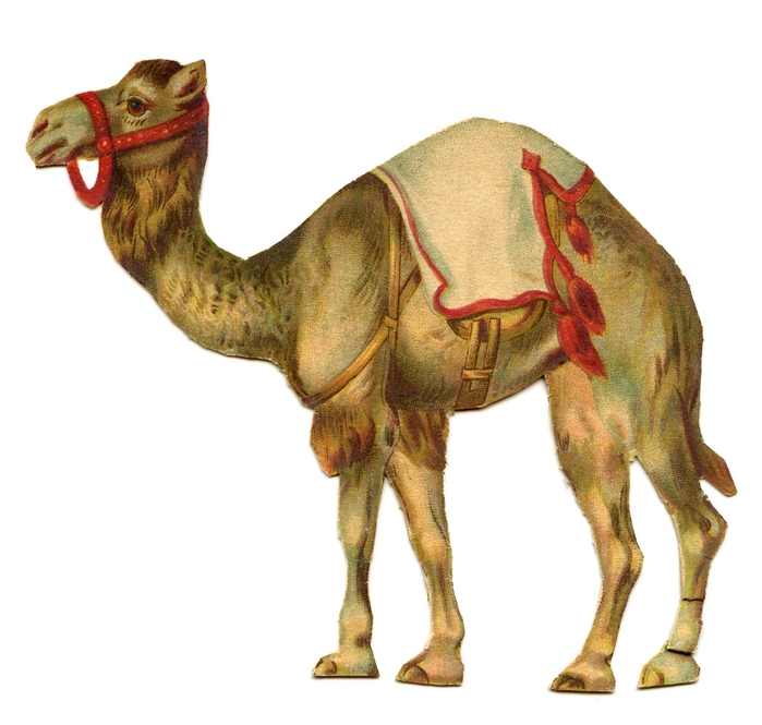 circus camel vintage image GraphicsFairy006b (700x665, 190Kb)