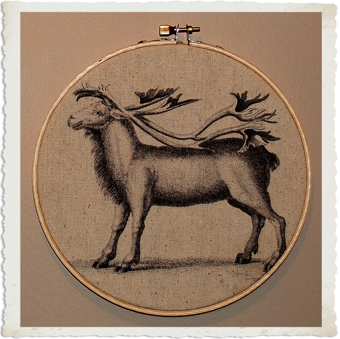 reindeer2frb (700x697, 399Kb)