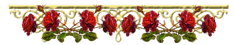4690170_D0BBD0B8D0BDD0B5D0B9D0BAD0B0D180D0BED0B7D0BED0B2D0B0D18F10 (343x66, 37Kb)
