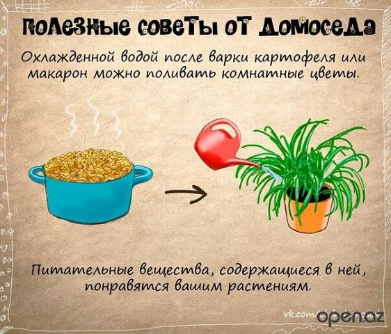 Полезные советы картинки