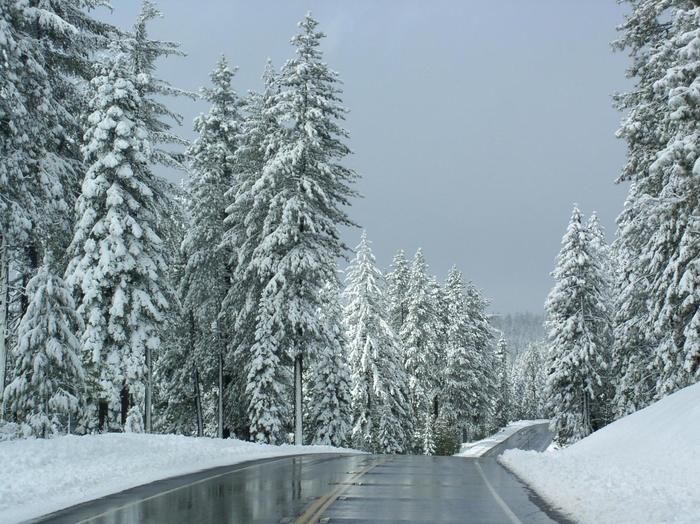 finland road zabugorye koli kerimaa ukkohalla (700x524, 85Kb)