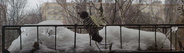 2224207_kompozishn (600x174, 43Kb)