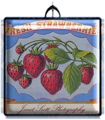 PSFeb13_JSPhotography_Strawberries Pendant (368x419, 341Kb)