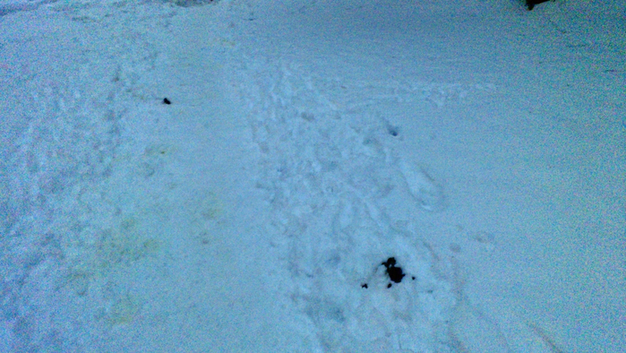 13020011 (700x394, 429Kb)