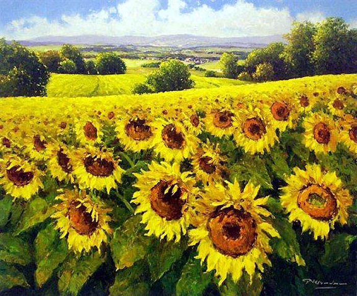 gerhard_nesvadba_sunflowers4 (700x582, 158Kb)