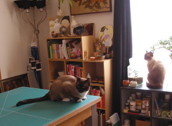 Studio-and-cats (700x512, 58Kb)