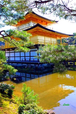 harika-japon-evleri-Kinkakuji-Golden-Pavilion-Kyoto2 (297x447, 41Kb)