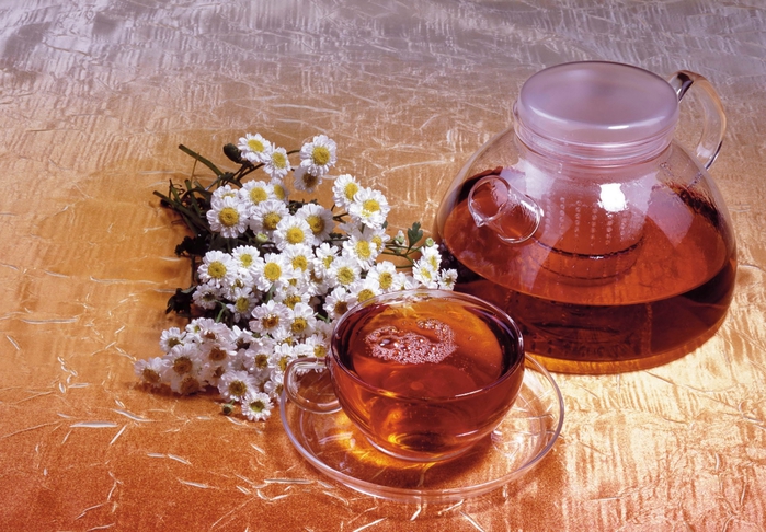 tea-with-flowers_003 (700x486, 318Kb)