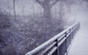images (284x177, 6Kb)