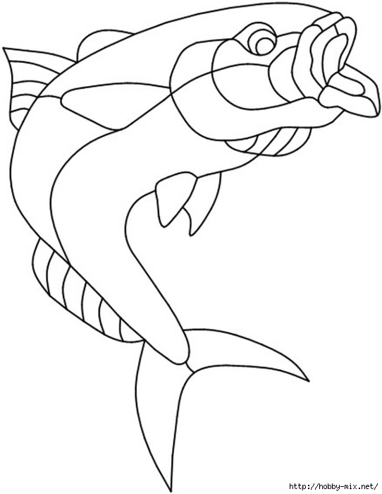 4kingfish1 (542x700, 93Kb)