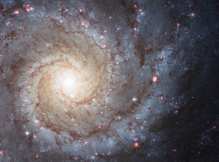 m74-galatika (700x518, 115Kb)