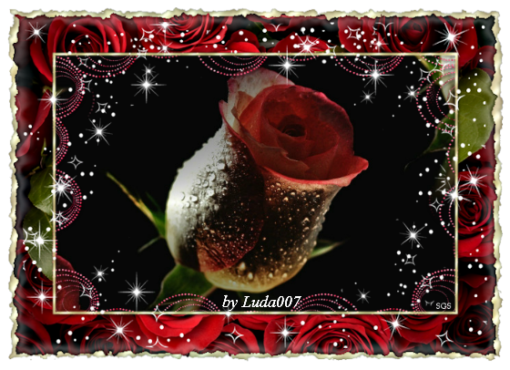 3427527__11_ (560x406, 431Kb)
