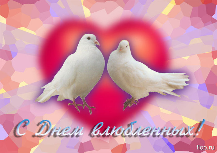 1360816863_den__vlyublennuyh (700x495, 68Kb)