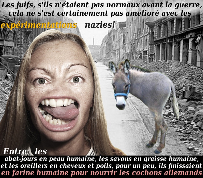 Expérimentations nazies sur Internet./5046362_Deuxsabots (700x612, 237Kb)